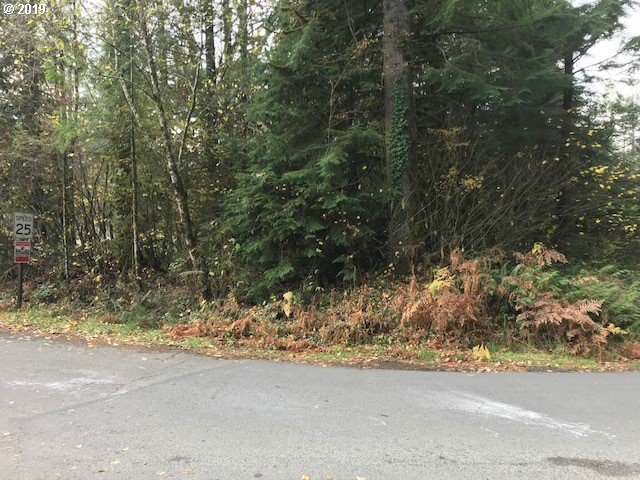 a view of a yard with a tree