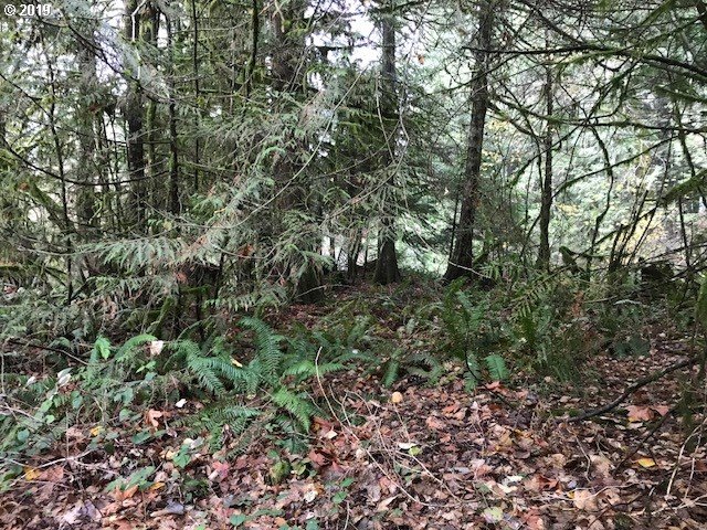 64604 East Sandy River Lane Rhododendron, OR 97049 - Photo 2 of 4 a view of outdoor space and covered with lots of green space