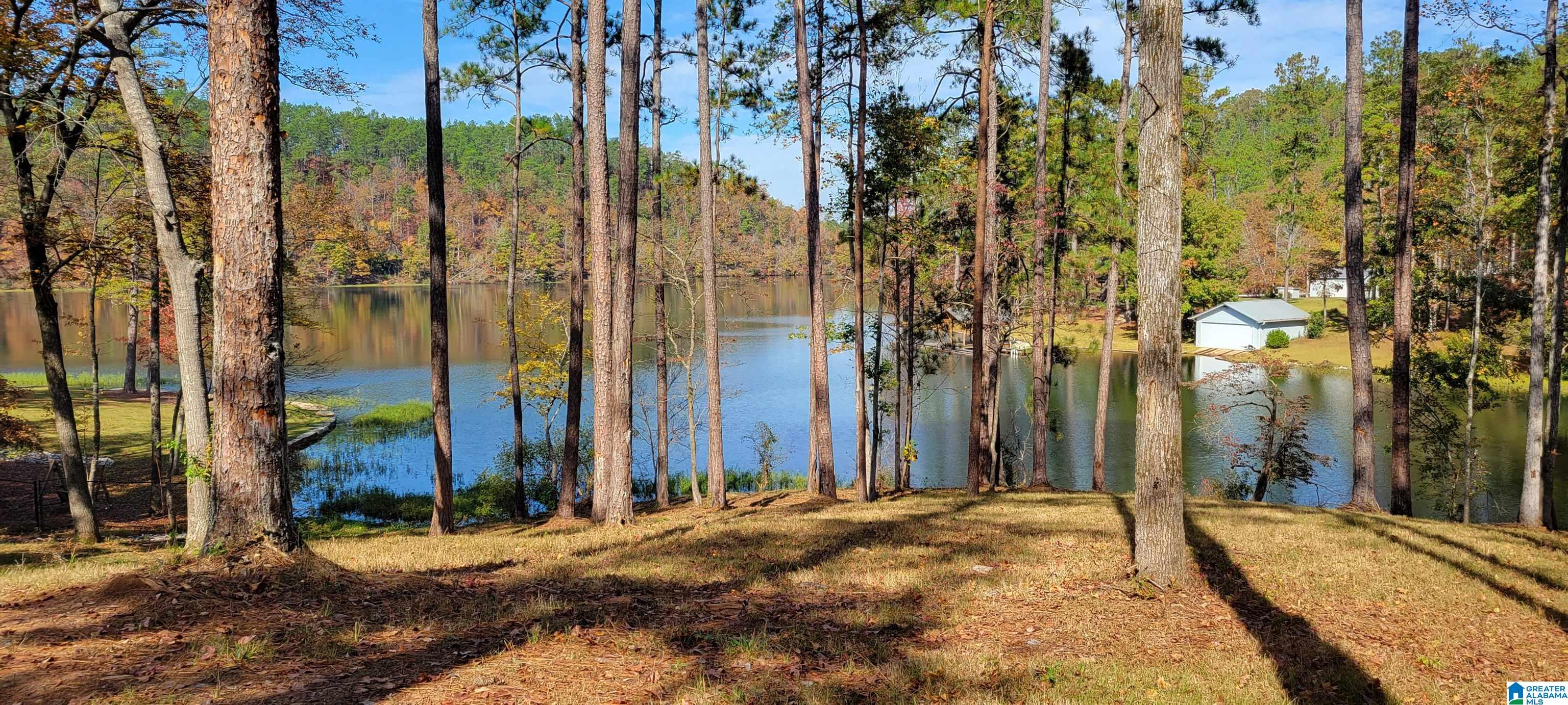 1830 Mimosa Point Road, Unit 5 Rockford, AL 35136 - Photo 15 of 25