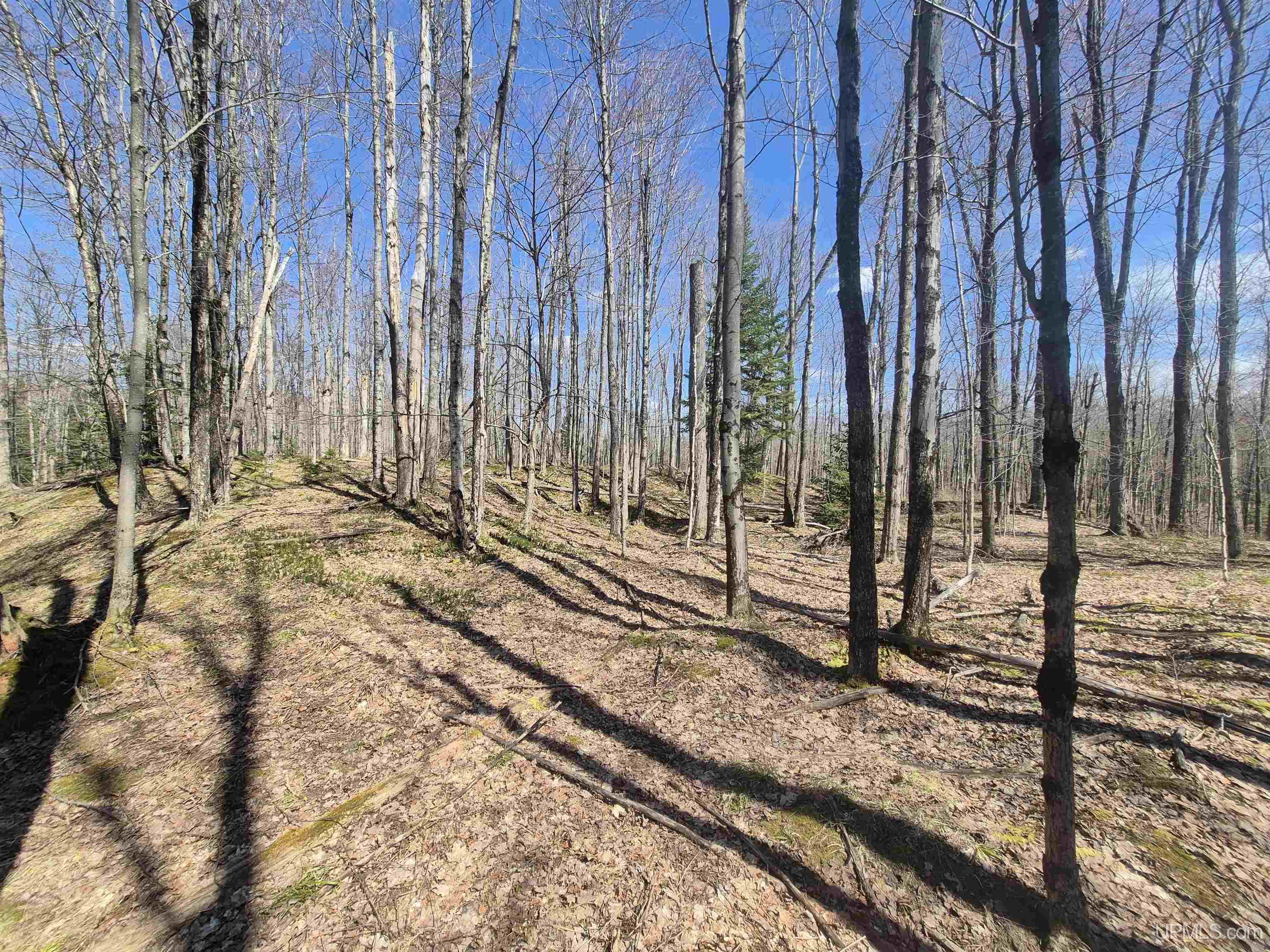 12-acres Salmon Road L'Anse, MI 49946 - Photo 21 of 39