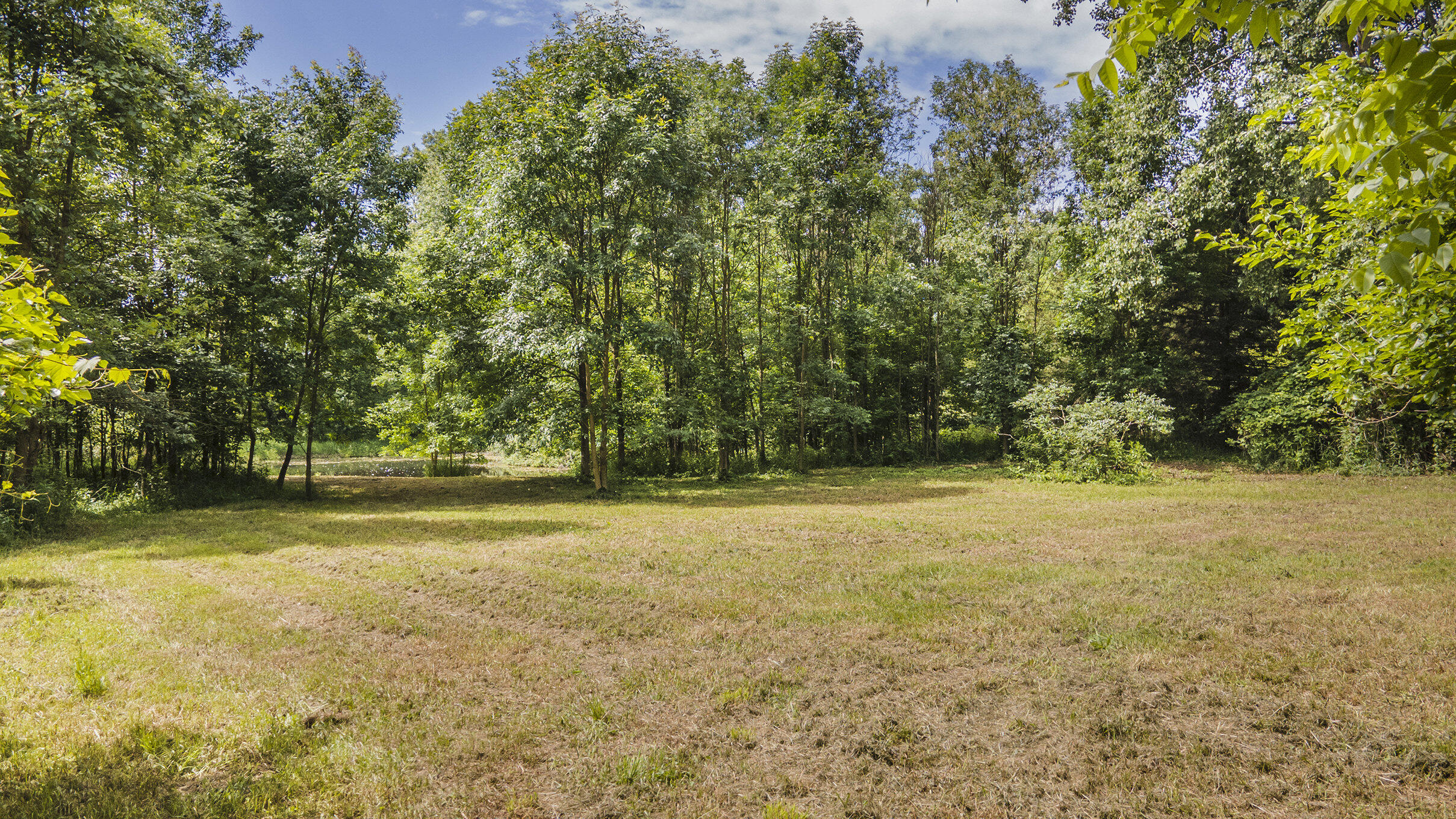 19600 Ivey Road Chelsea, MI 48118 - Photo 8 of 21 007_dji_0516_668