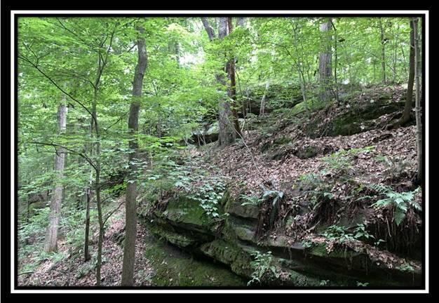 1391 Tennant Road, Unit TRACT 1) Ray, OH 45672 - Photo 39 of 67 image039