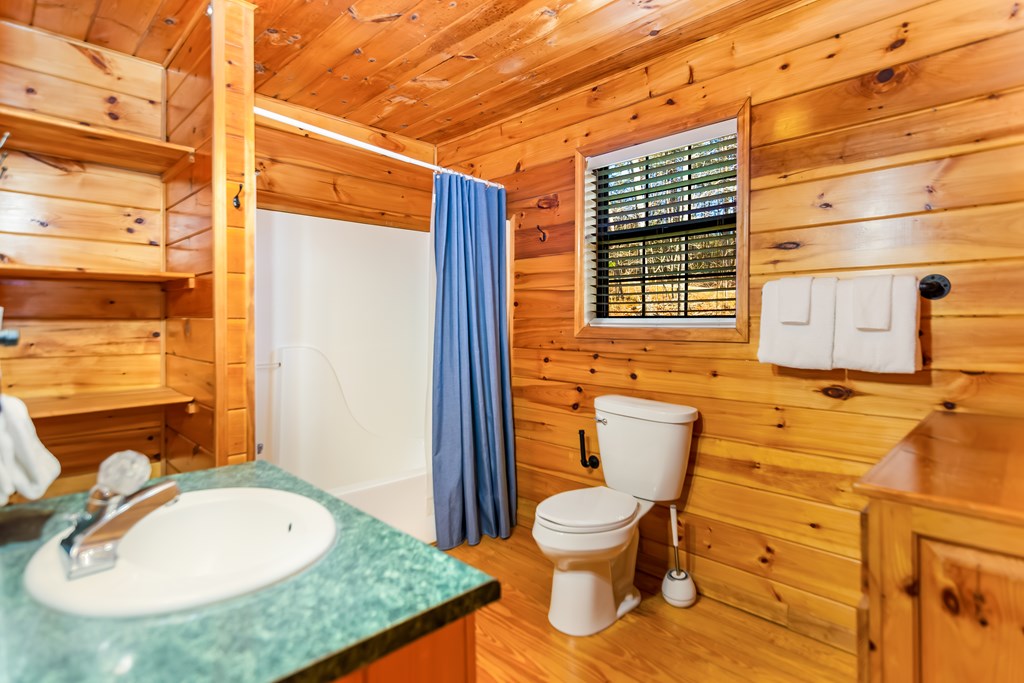 249 Sugar Mountain Road Blue Ridge, GA 30513 - Photo 20 of 61 a bathroom with a sink toilet and shower