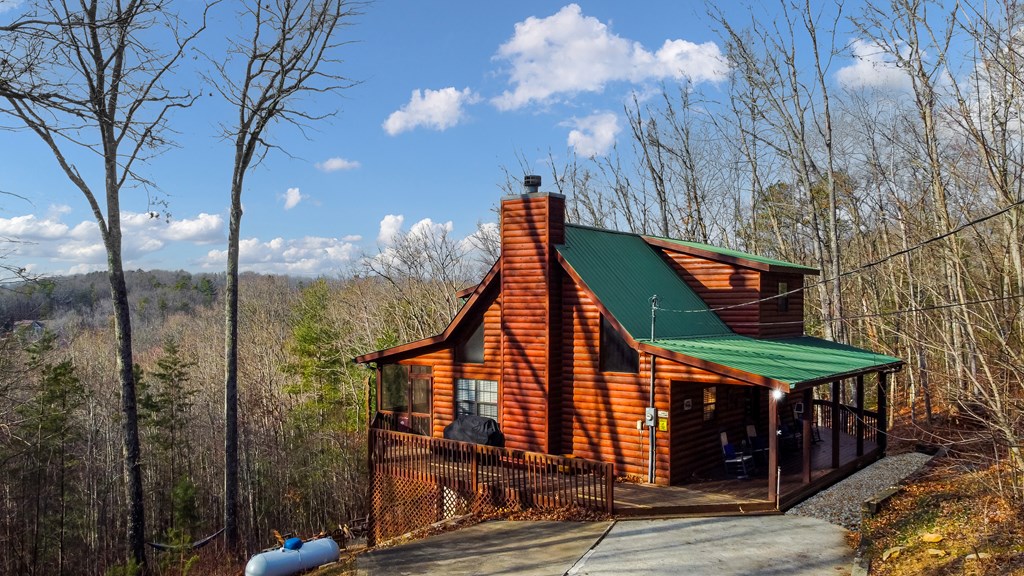 249 Sugar Mountain Road Blue Ridge, GA 30513 - Photo 52 of 61