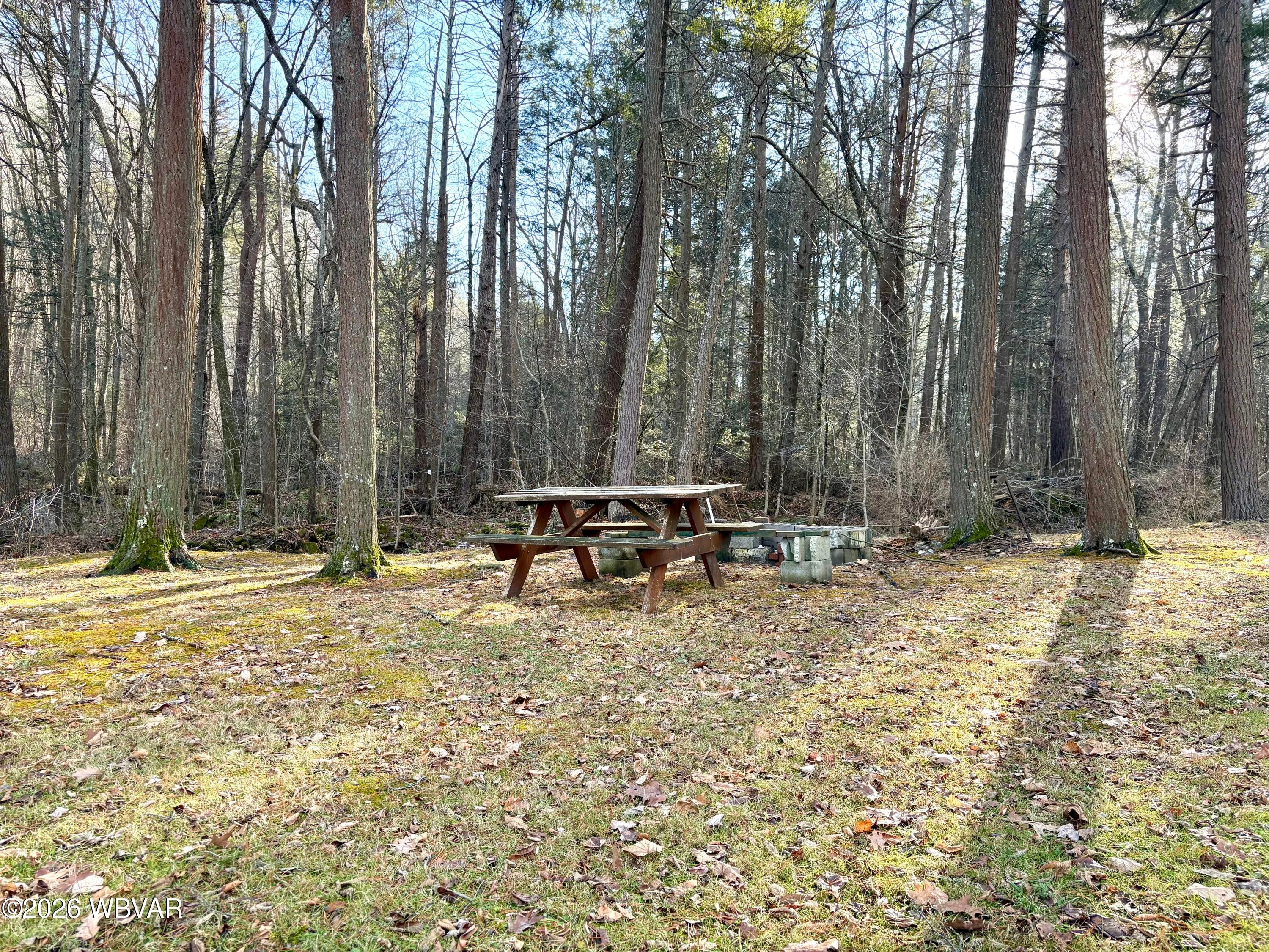 2598 Rauchtown Road Jersey Shore, PA 17740 - Photo 54 of 63 Picnic Area