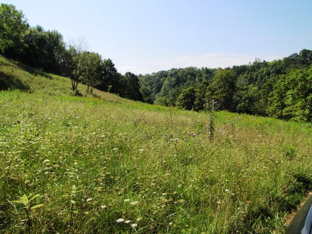 2402 Lillydale-Back Creek Road Union, WV 24983 - Photo 2 of 49 Gallery Image 2