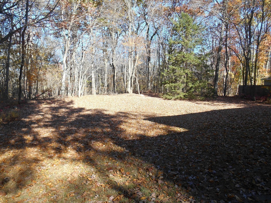 137 Spruce Road Norwood, MA 02062 - Photo 27 of 29 Gallery Image 27