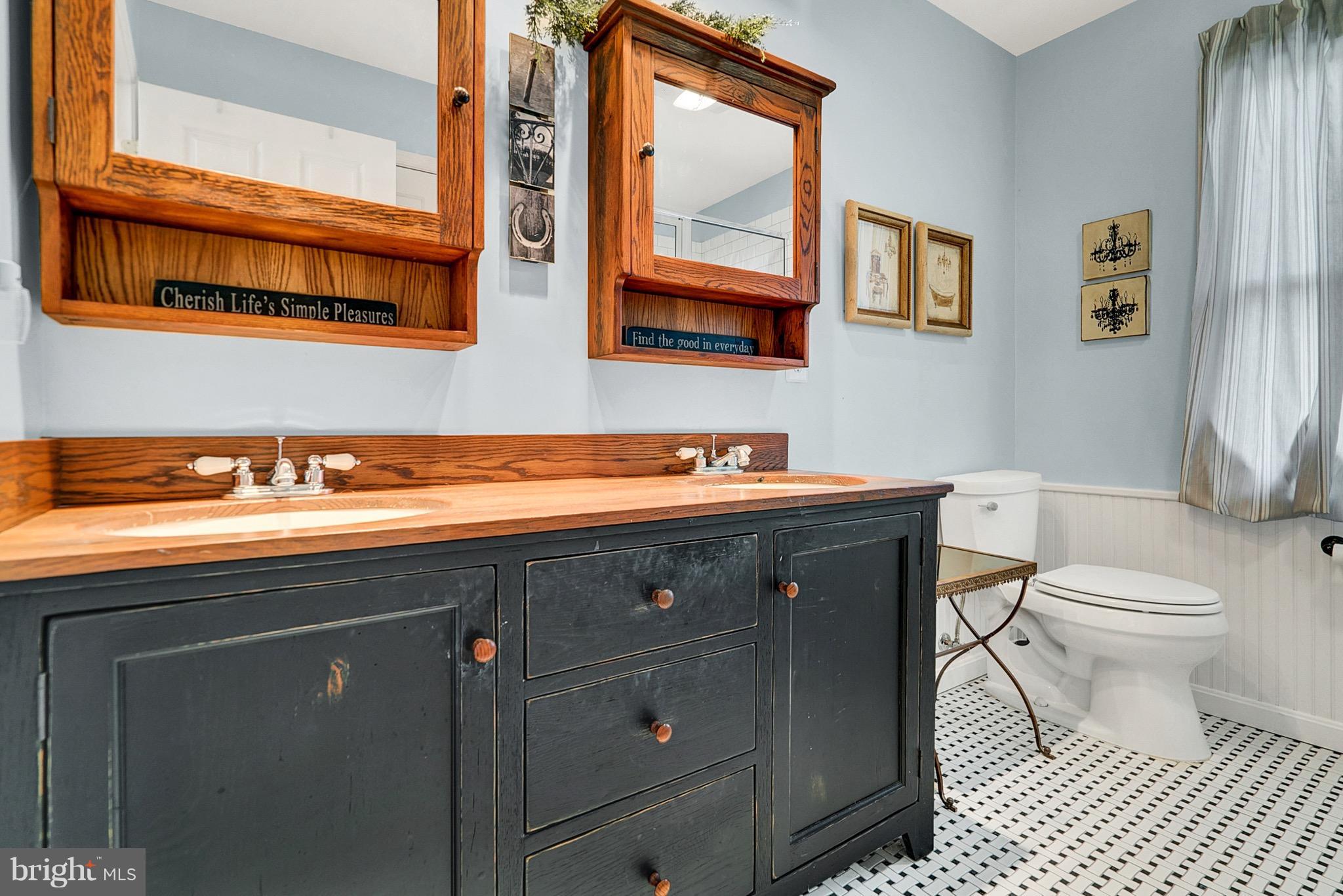 9692 Ridge View Drive Marshall, VA 20115 - Photo 11 of 26 a bathroom with a toilet a sink and mirror