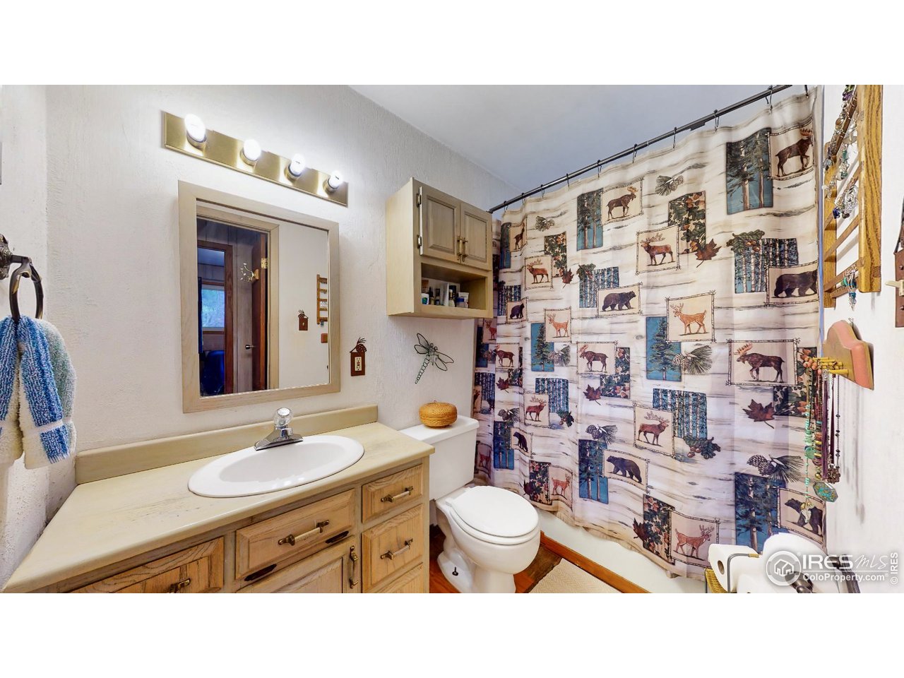1292 Kiowa Road Lyons, CO 80540 - Photo 19 of 35 Full Bath