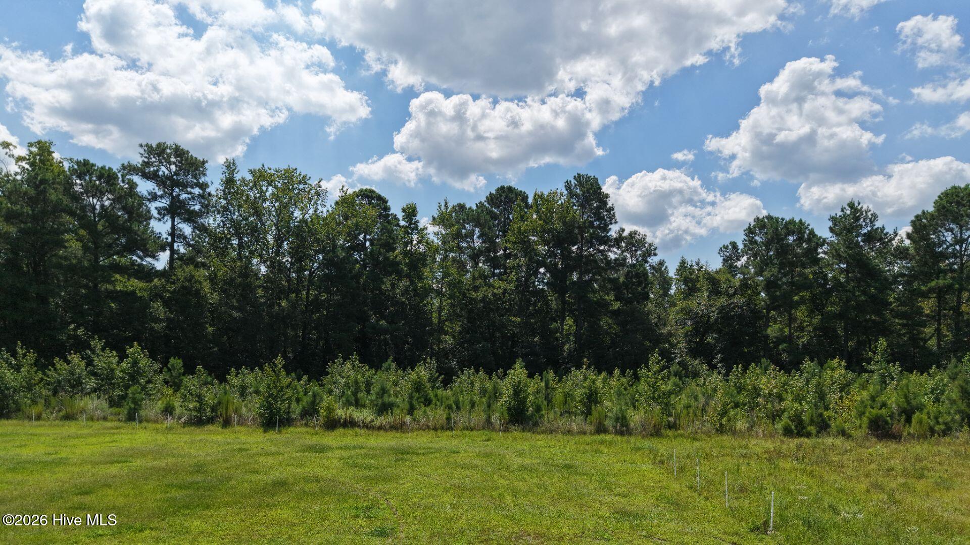 0 Prospect Road Pembroke, NC 28372 - Photo 31 of 45