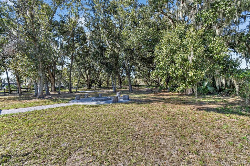 106 Corbett Road Lithia, FL 33547 - Photo 49 of 94