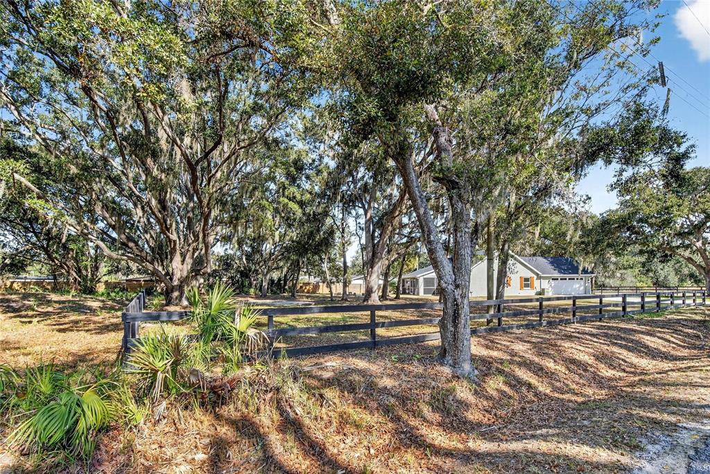 106 Corbett Road Lithia, FL 33547 - Photo 65 of 94