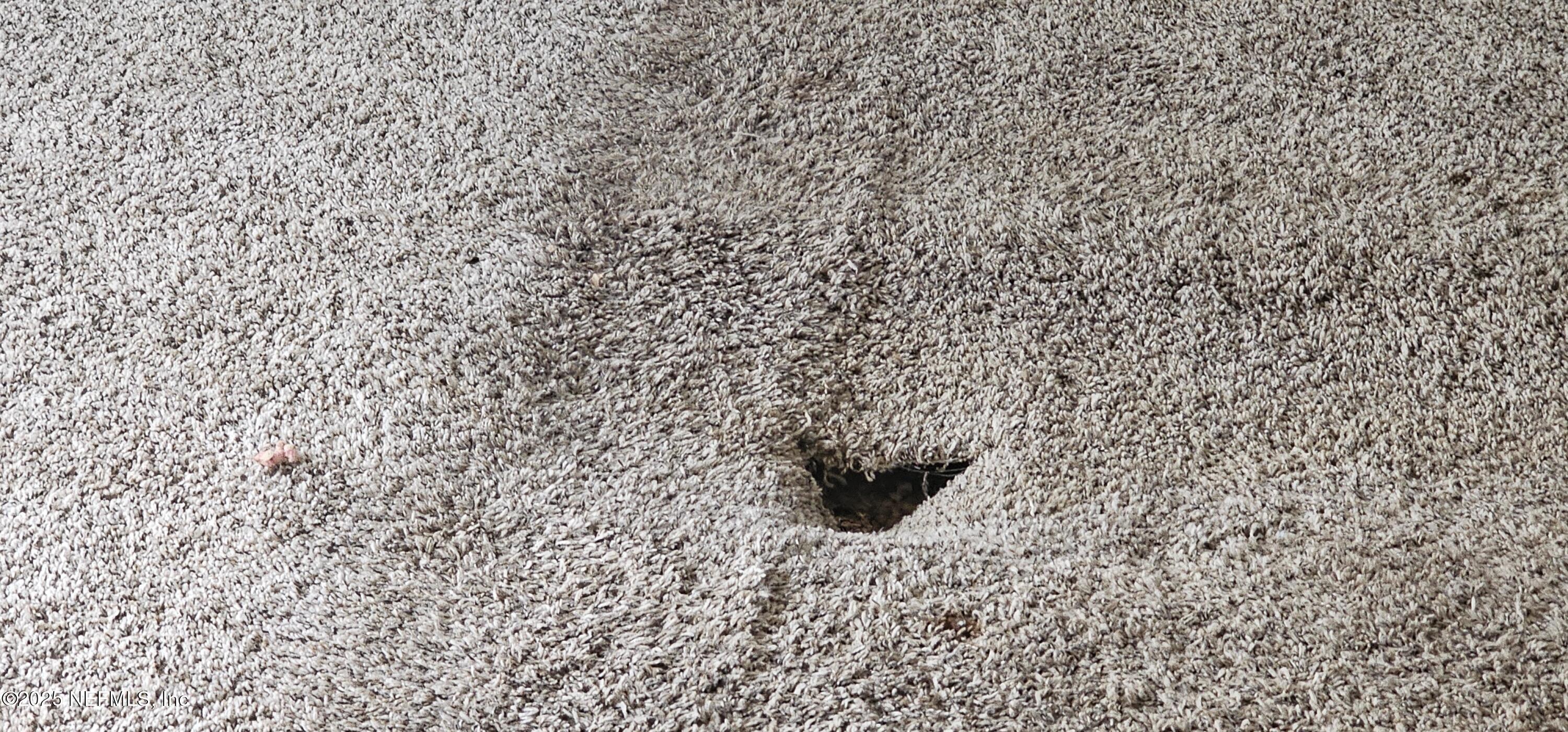 5951 Westwood Road North Jacksonville, FL 32234 - Photo 27 of 33 a close up of a white marble wall