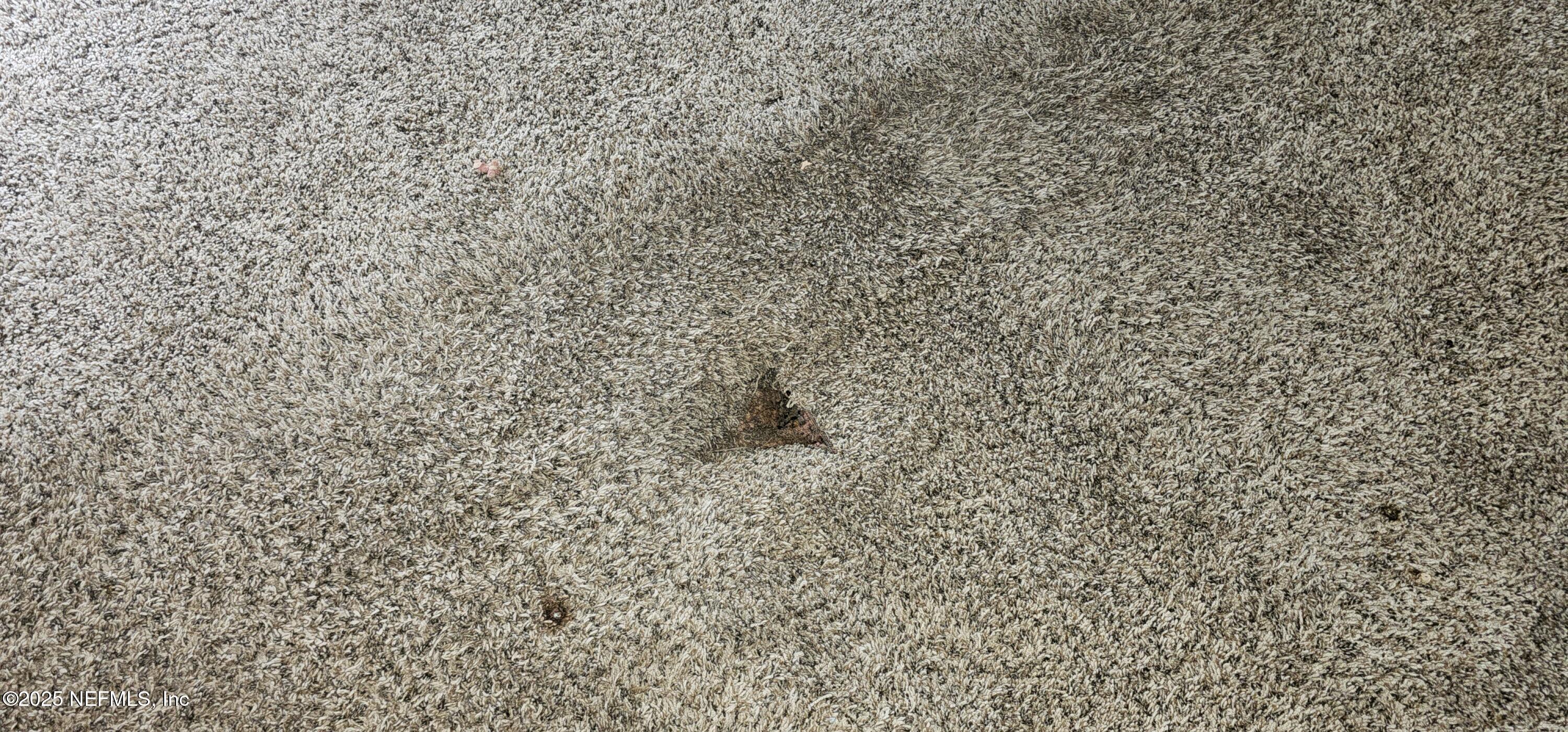 5951 Westwood Road North Jacksonville, FL 32234 - Photo 29 of 33 a bathroom with a shower