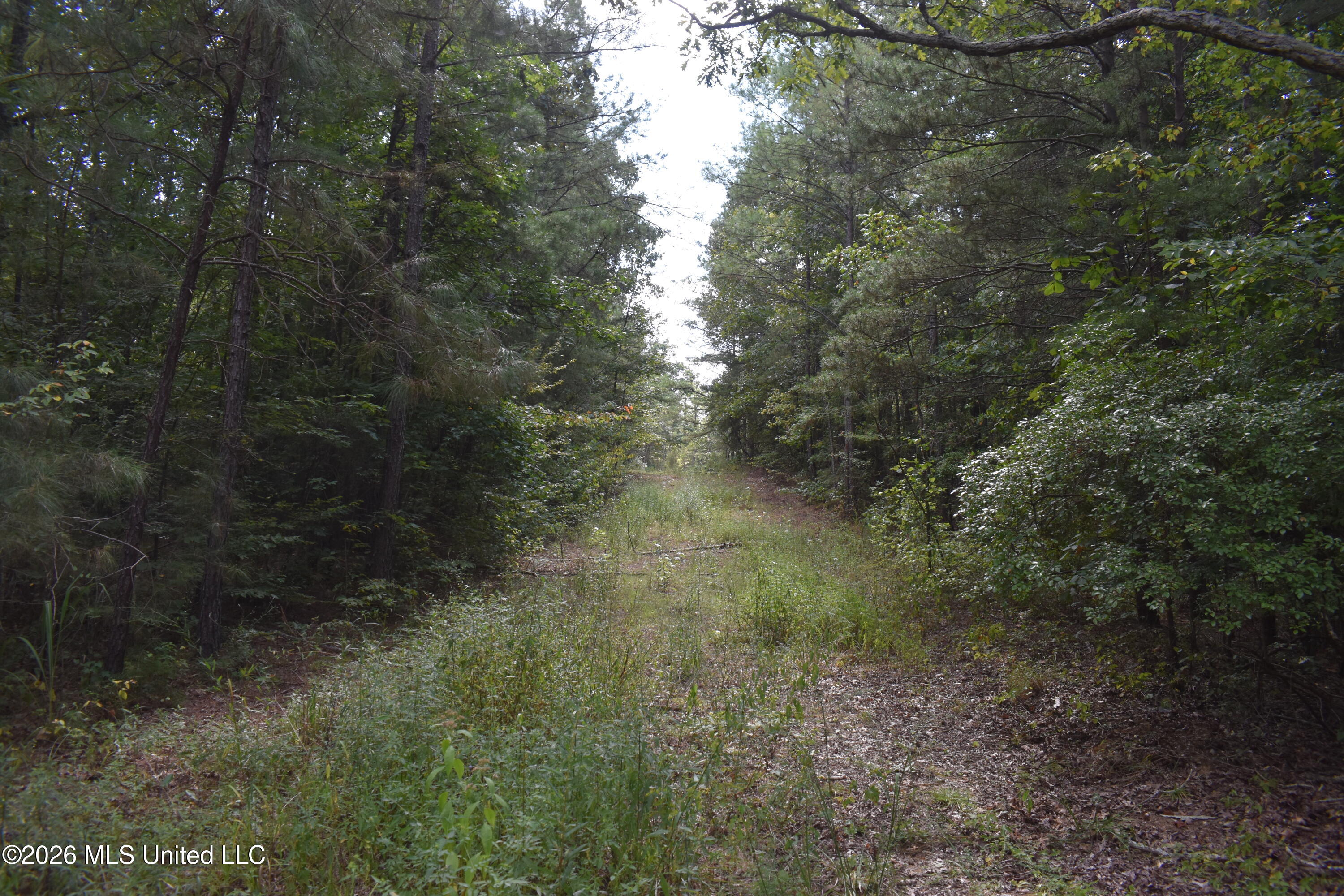 700 Front Road Toone, TN 38381 - Photo 18 of 31 DSC_0107