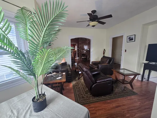 a living room with furniture and a potted plant