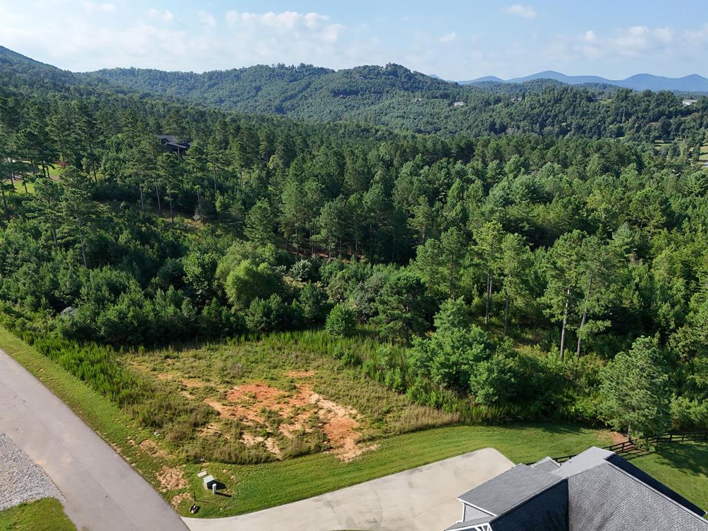 278 Ridge Pointe Way Blairsville, GA 30512 - Photo 17 of 54 Gallery Image 17