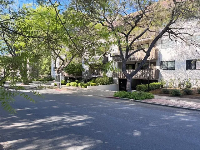 a view of street with large trees
