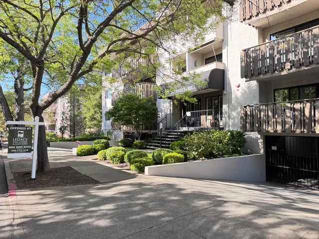 a view of a street with plants and trees