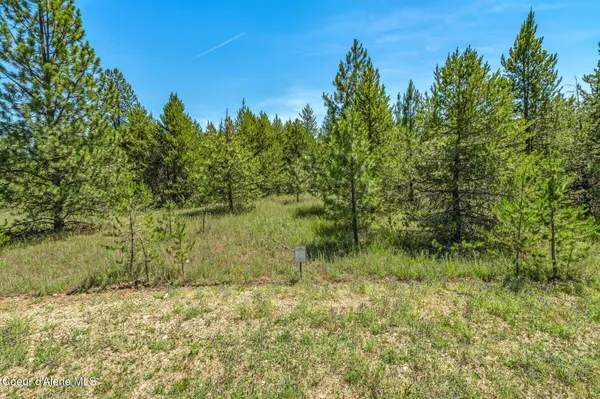 $345,000 | Lot 19 Asulkan Street, Athol, ID 83801