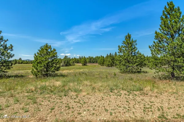 $345,000 | Lot 19 Asulkan Street, Athol, ID 83801