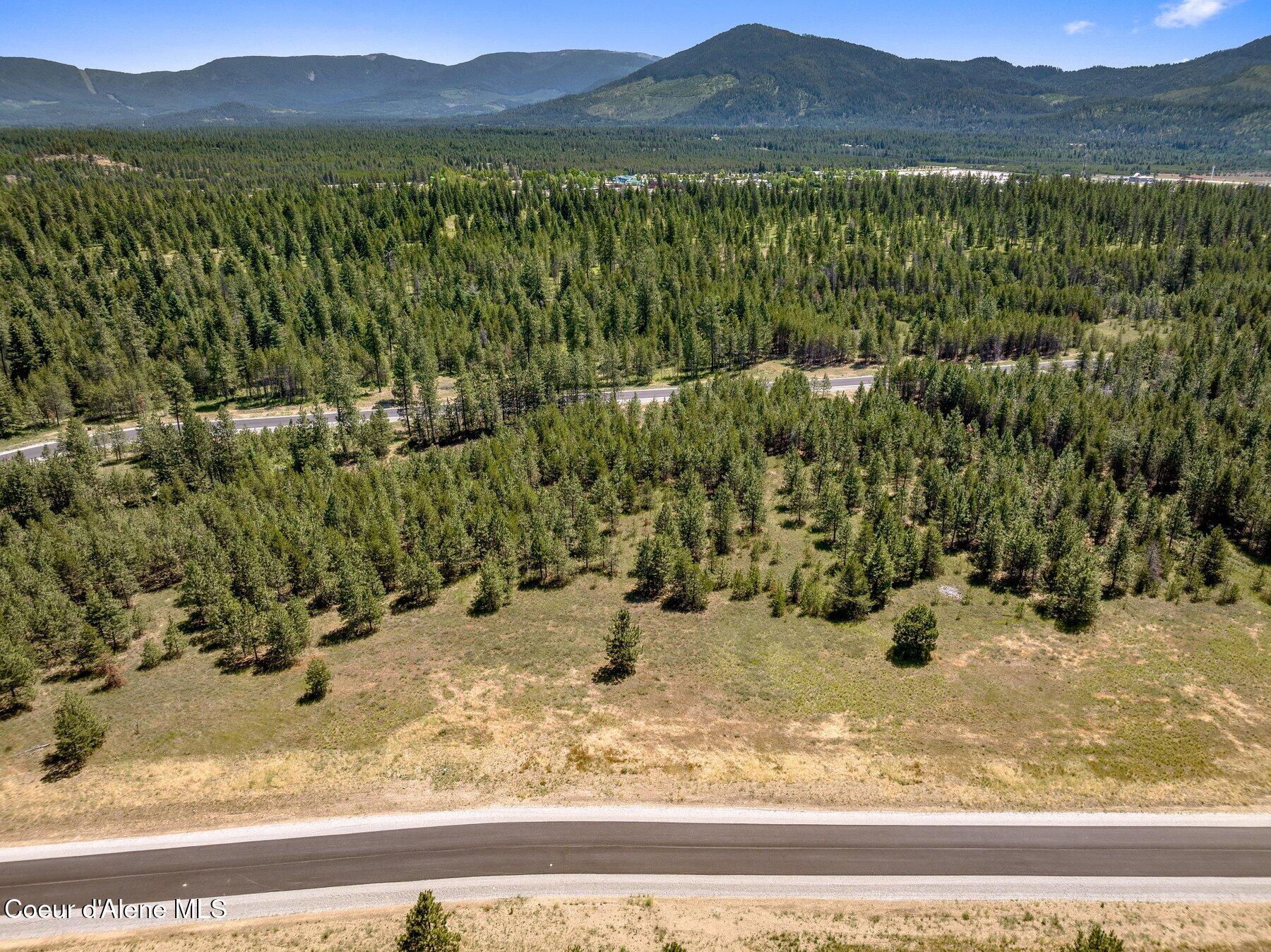Lot 19 Asulkan Street Athol, ID 83801 - Photo 8 of 10 --41.jpg-SMALL