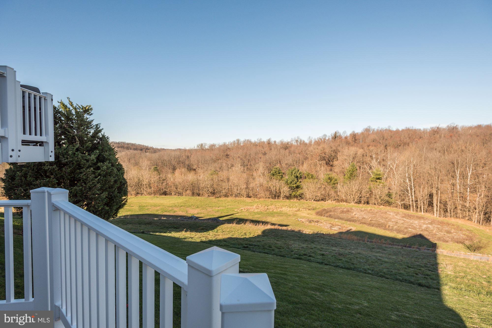 11002 Country Club Road New Market, MD 21774 - Photo 40 of 47 View