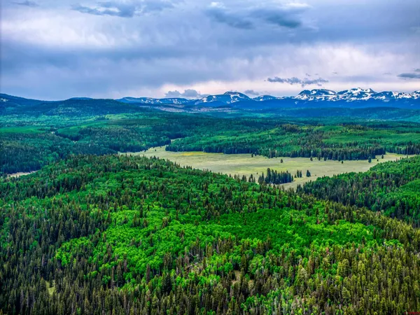 a view of a city with lush green forest