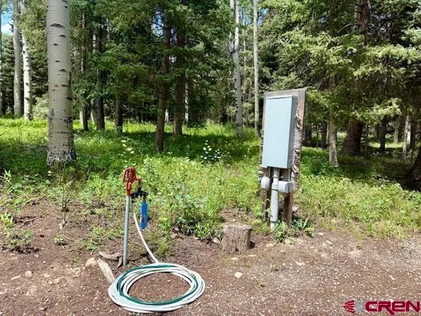 a bath tub sitting in middle of tall trees