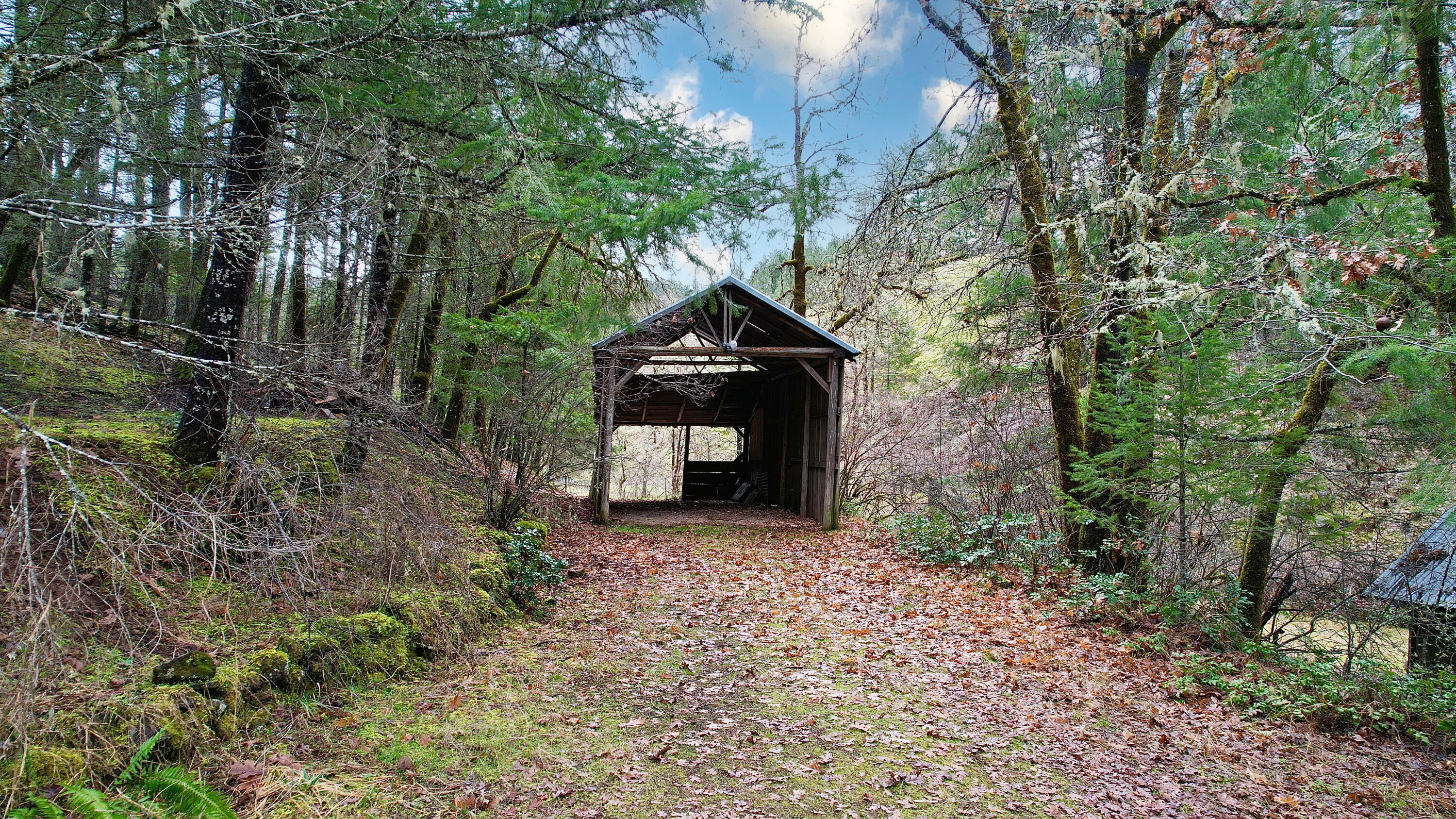 283 West Fork Trail Creek Road Trail, OR 97541 - Photo 8 of 15 Carport Structure