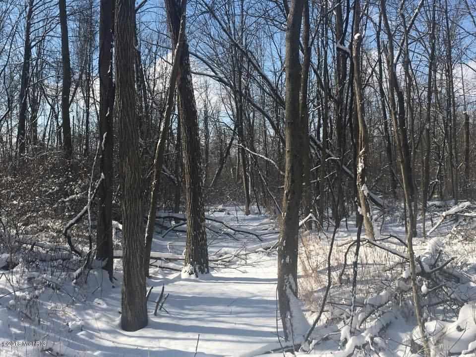 V/l Moore Road Tekonsha, MI 49082 - Photo 2 of 12