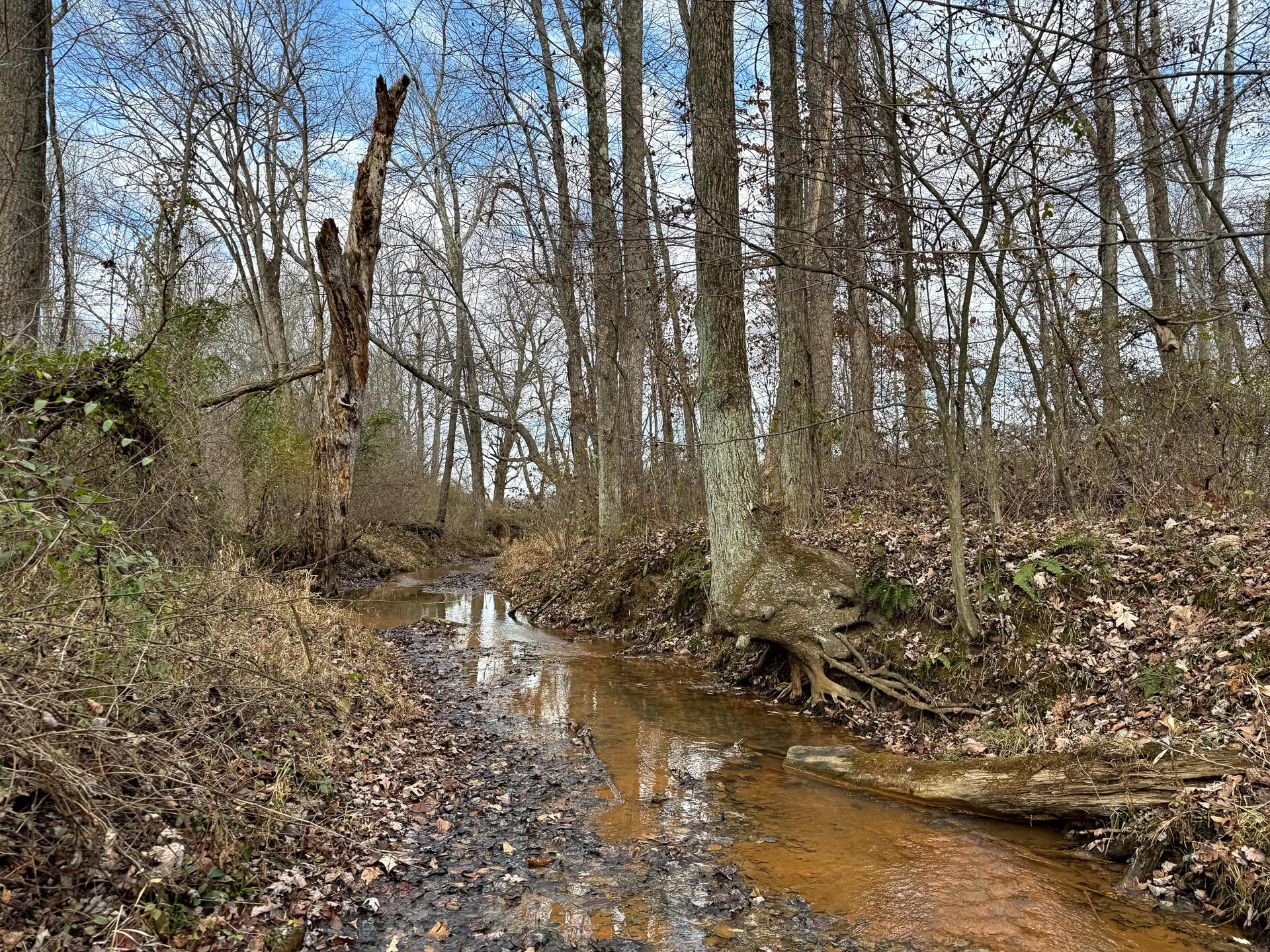 0 Dutch Ridge Road Southeast, Unit WOODS TURKEY RUN TRACT 4) New Lexington, OH 43764 - Photo 28 of 58 CT-28