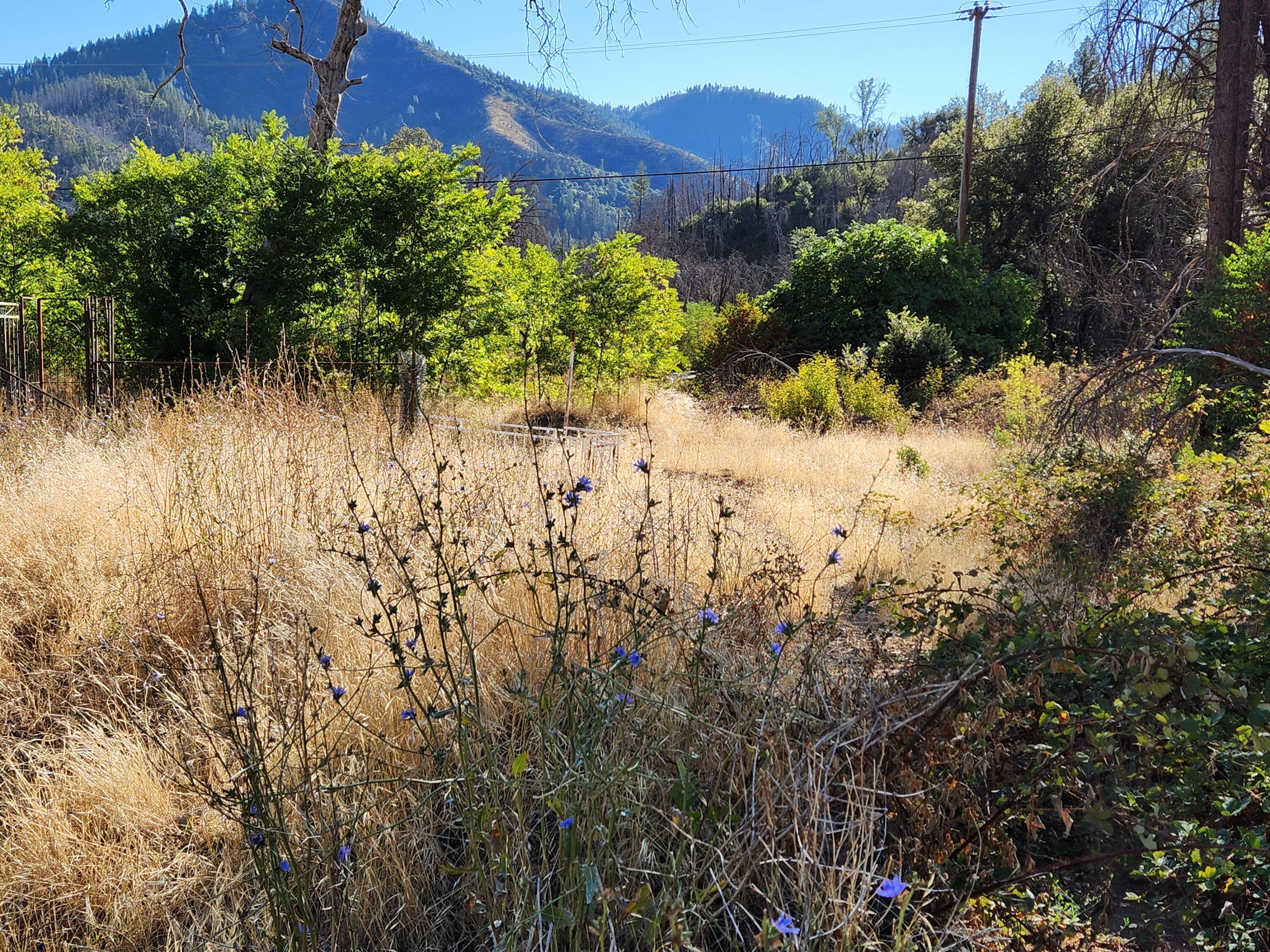 17031 Slate Creek Road Lakehead, CA 96051 - Photo 5 of 47 20240908_091745