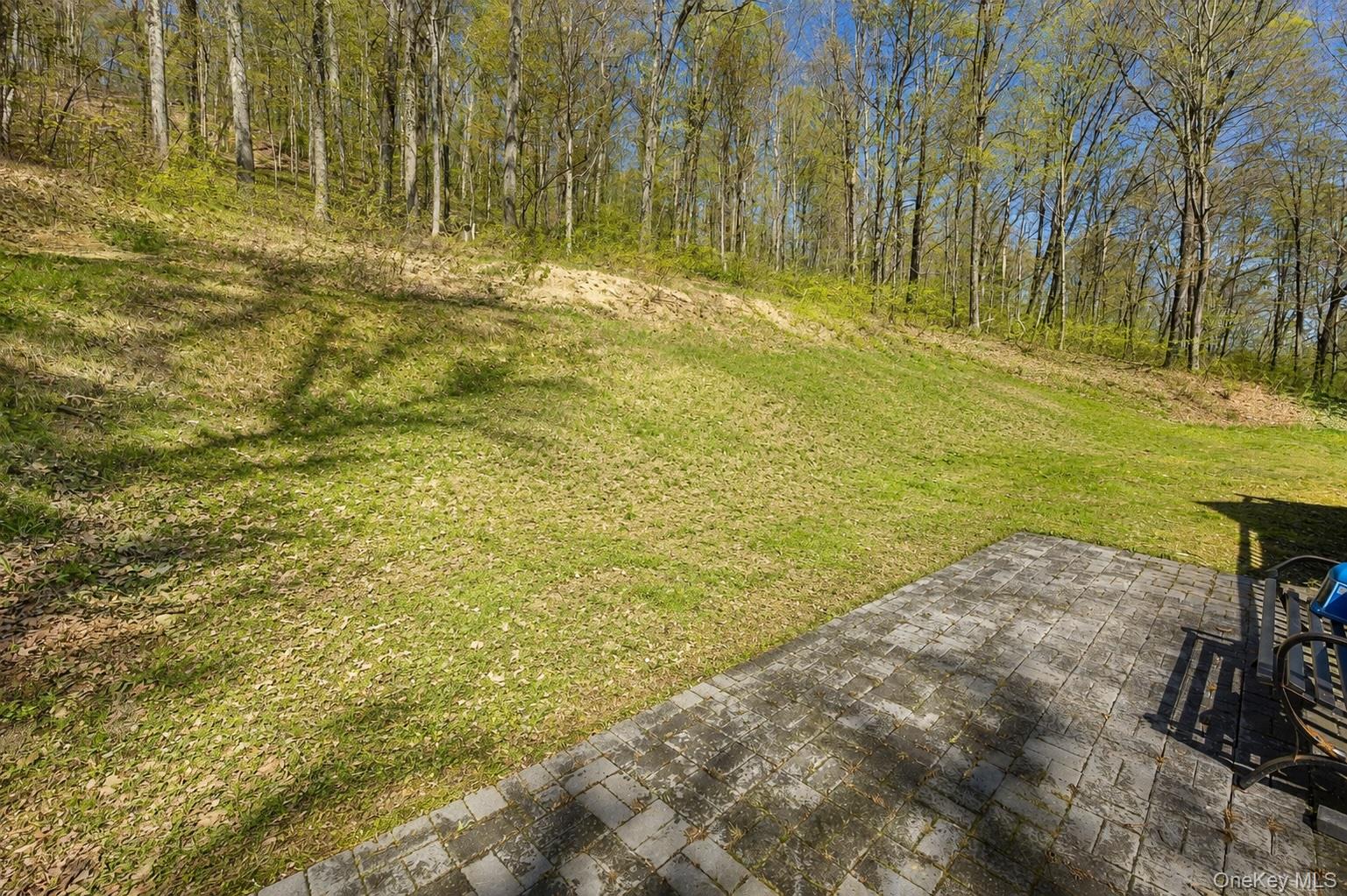 50 Horseshoe Road Millbrook, NY 12545 - Photo 26 of 35 AI generated to show backyard cleared