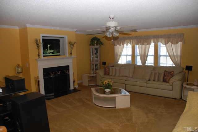 Wow - The Family Room! Designer Ceiling Fan, Crown Molding, Fireplace! Closet Space for Kids Toys! Other