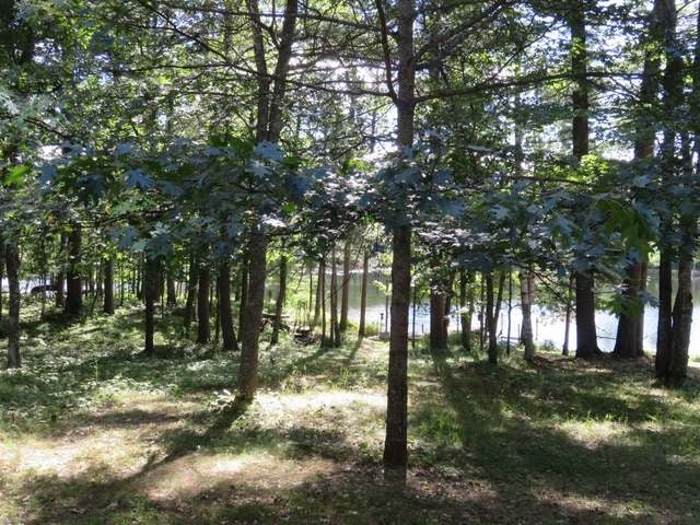 13393 River Road Manitowish Waters, WI 54545 - Photo 15 of 20 Gallery Image 15