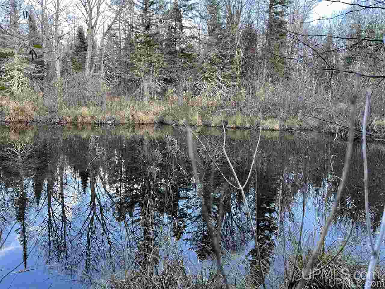 Tbd South Johnson Road Bessemer, MI 49911 - Photo 6 of 9