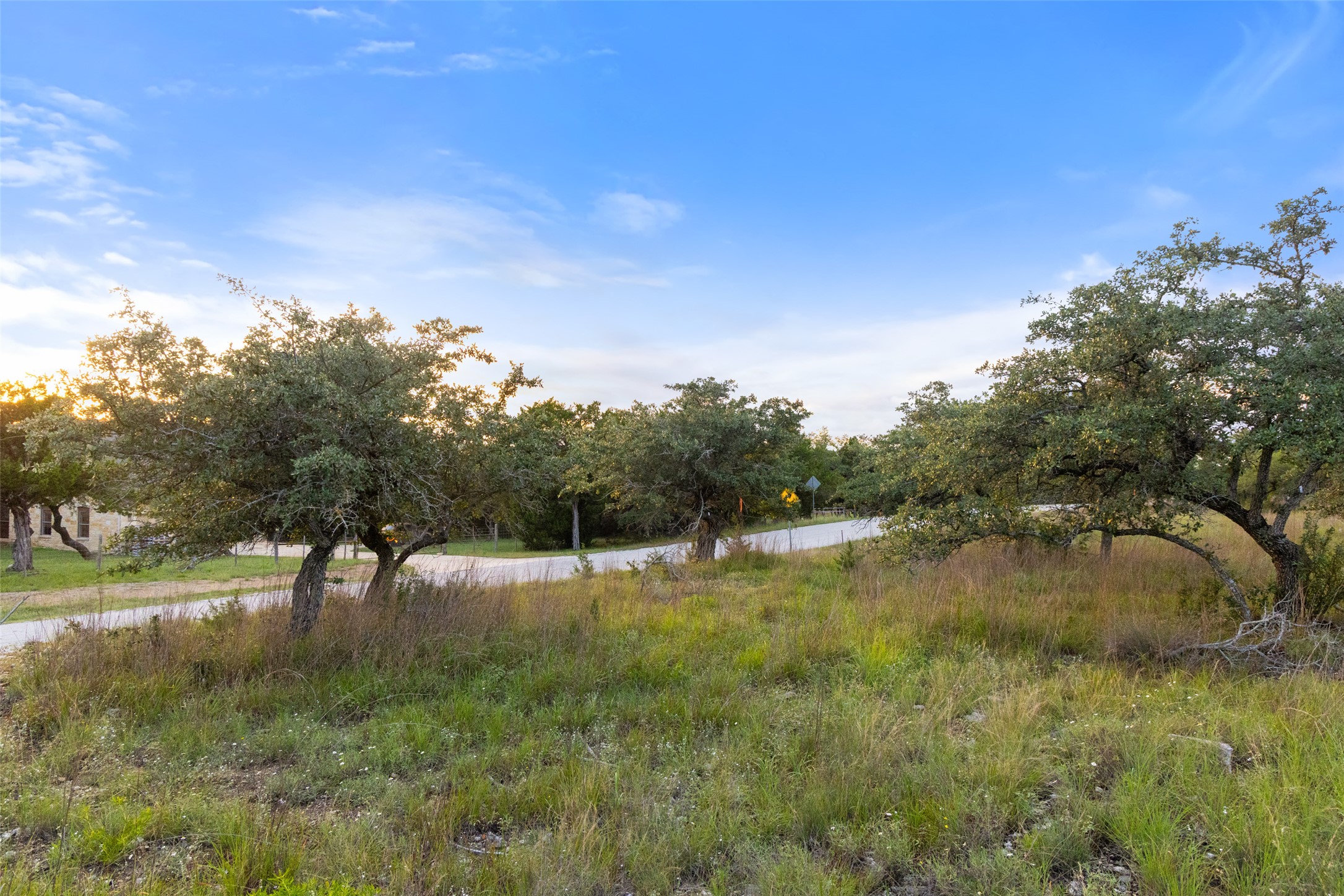31930 Mirela Ann Road Dripping Springs, TX 78620 - Photo 2 of 12 Mature trees and native grasses adorn this generously sized lot, presenting an ideal canvas for a custom residence.