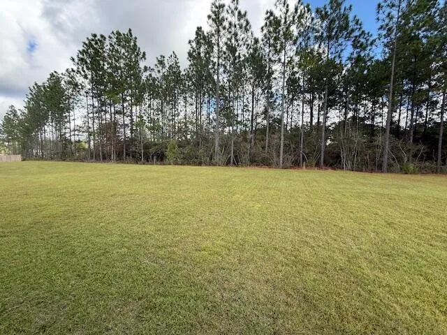 a view of a field with trees in front of it