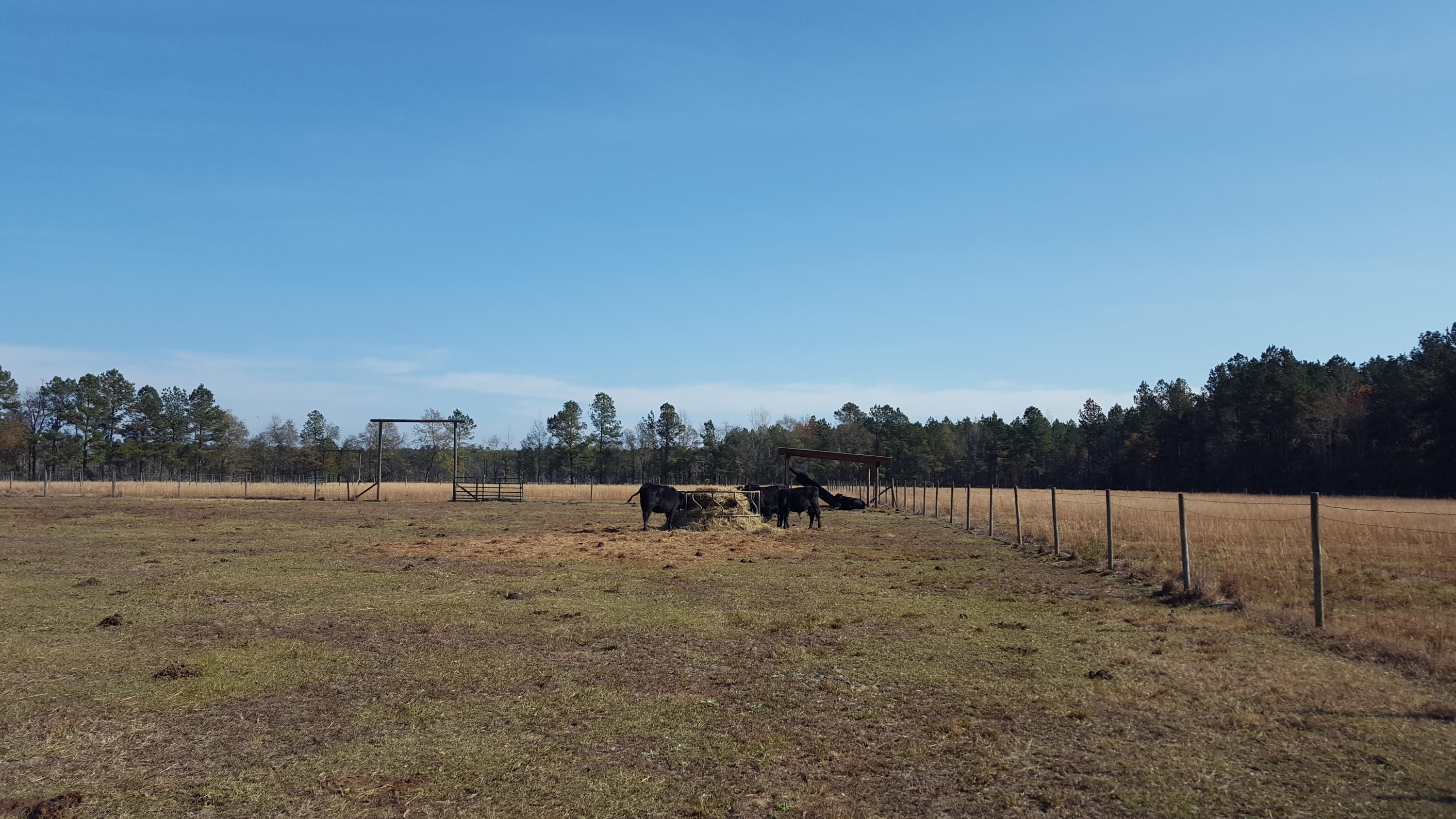 468 Strickland Farm Road Smoaks, SC 29481 - Photo 3 of 71 393