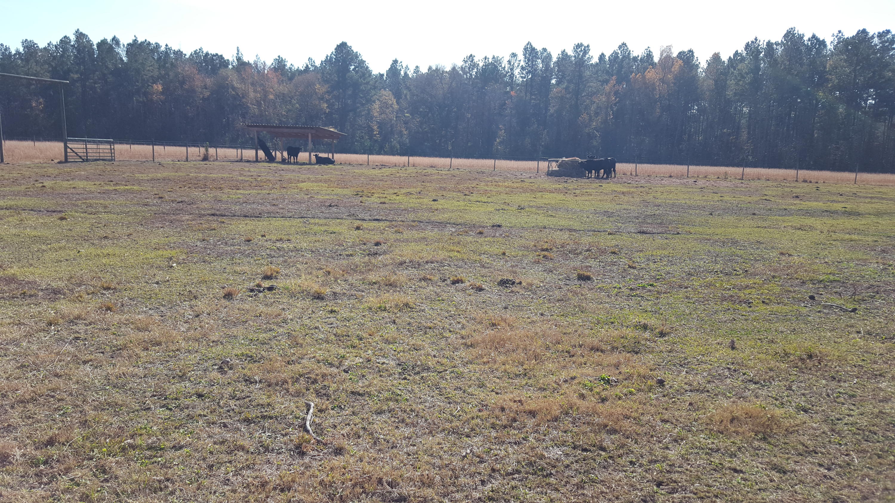 468 Strickland Farm Road Smoaks, SC 29481 - Photo 21 of 71 375