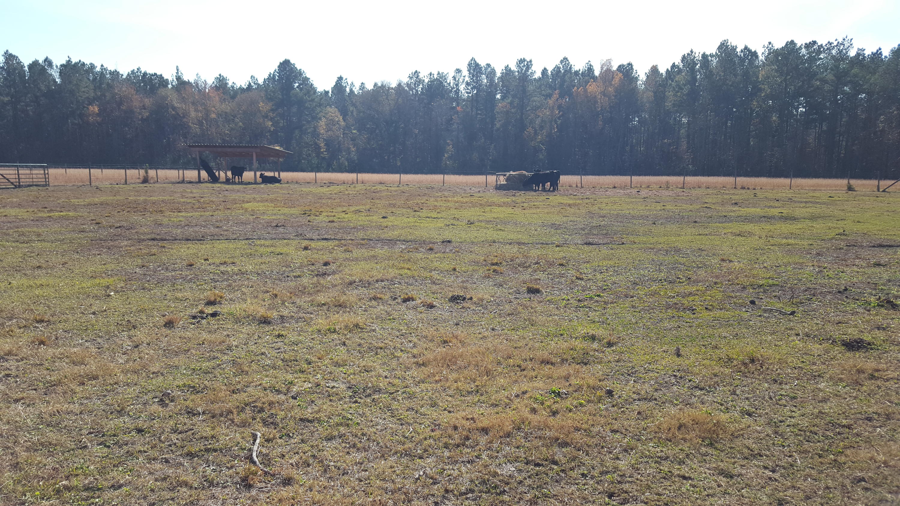 468 Strickland Farm Road Smoaks, SC 29481 - Photo 22 of 71 374