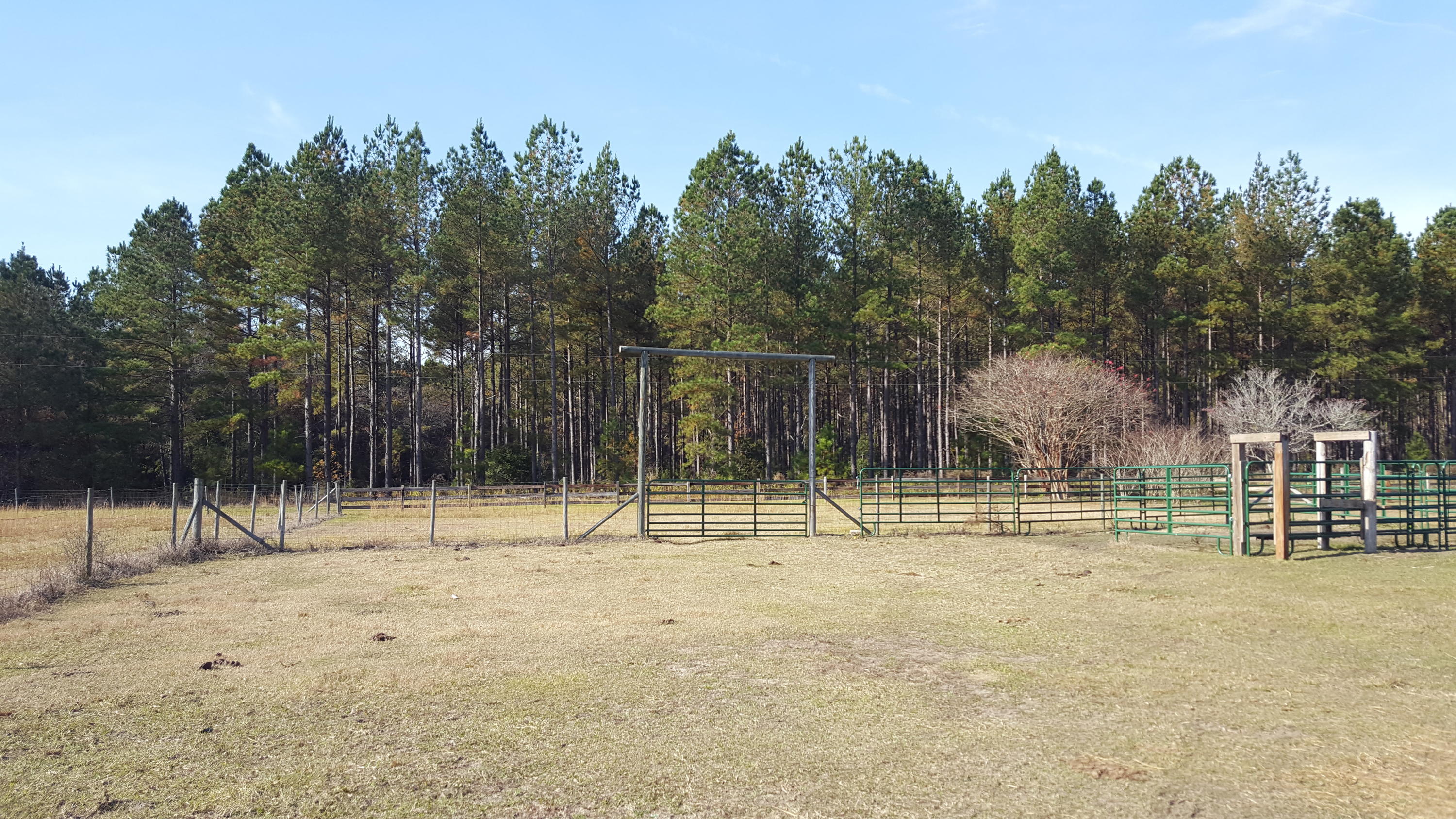 468 Strickland Farm Road Smoaks, SC 29481 - Photo 4 of 71 392