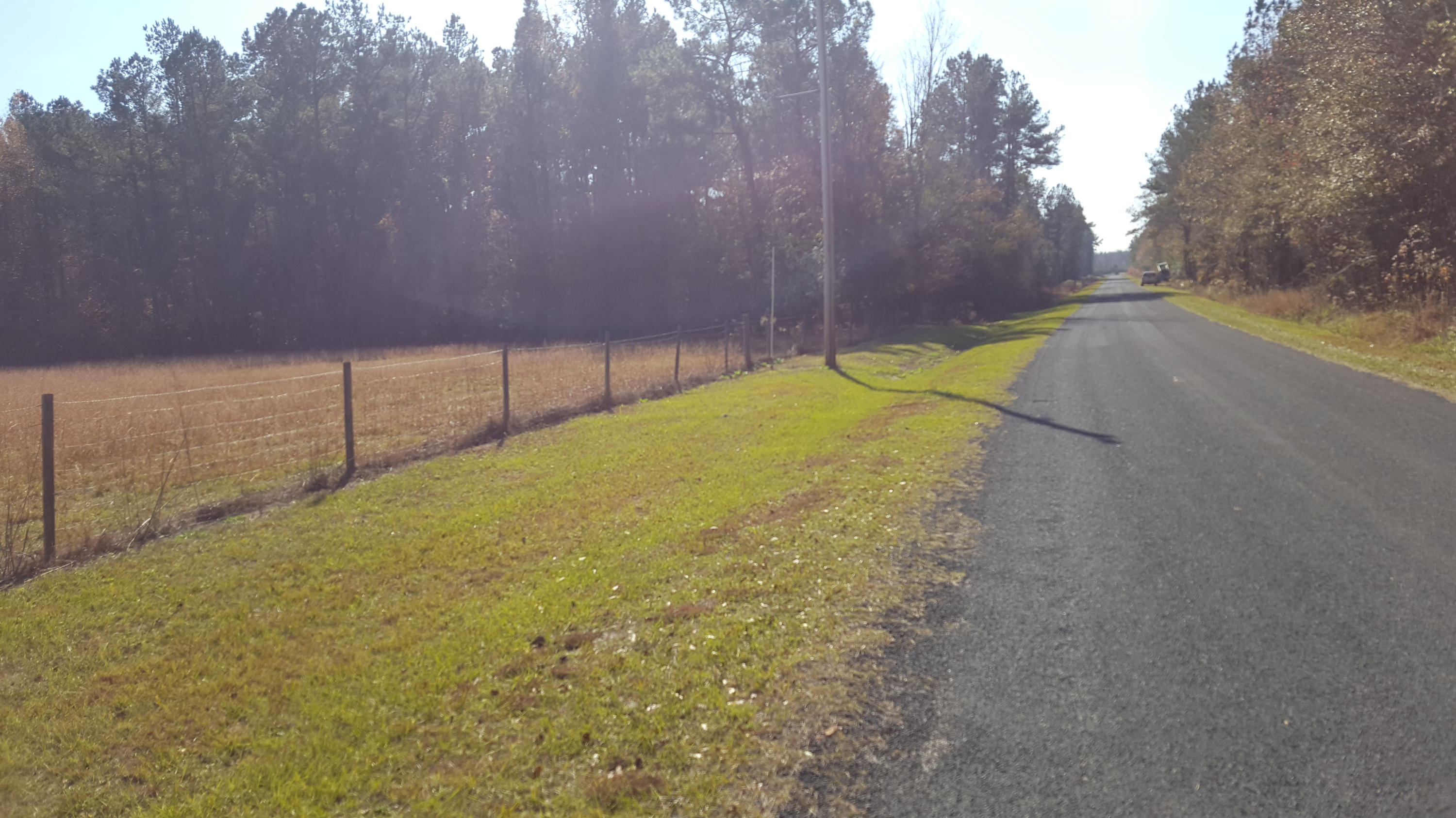468 Strickland Farm Road Smoaks, SC 29481 - Photo 35 of 71 281