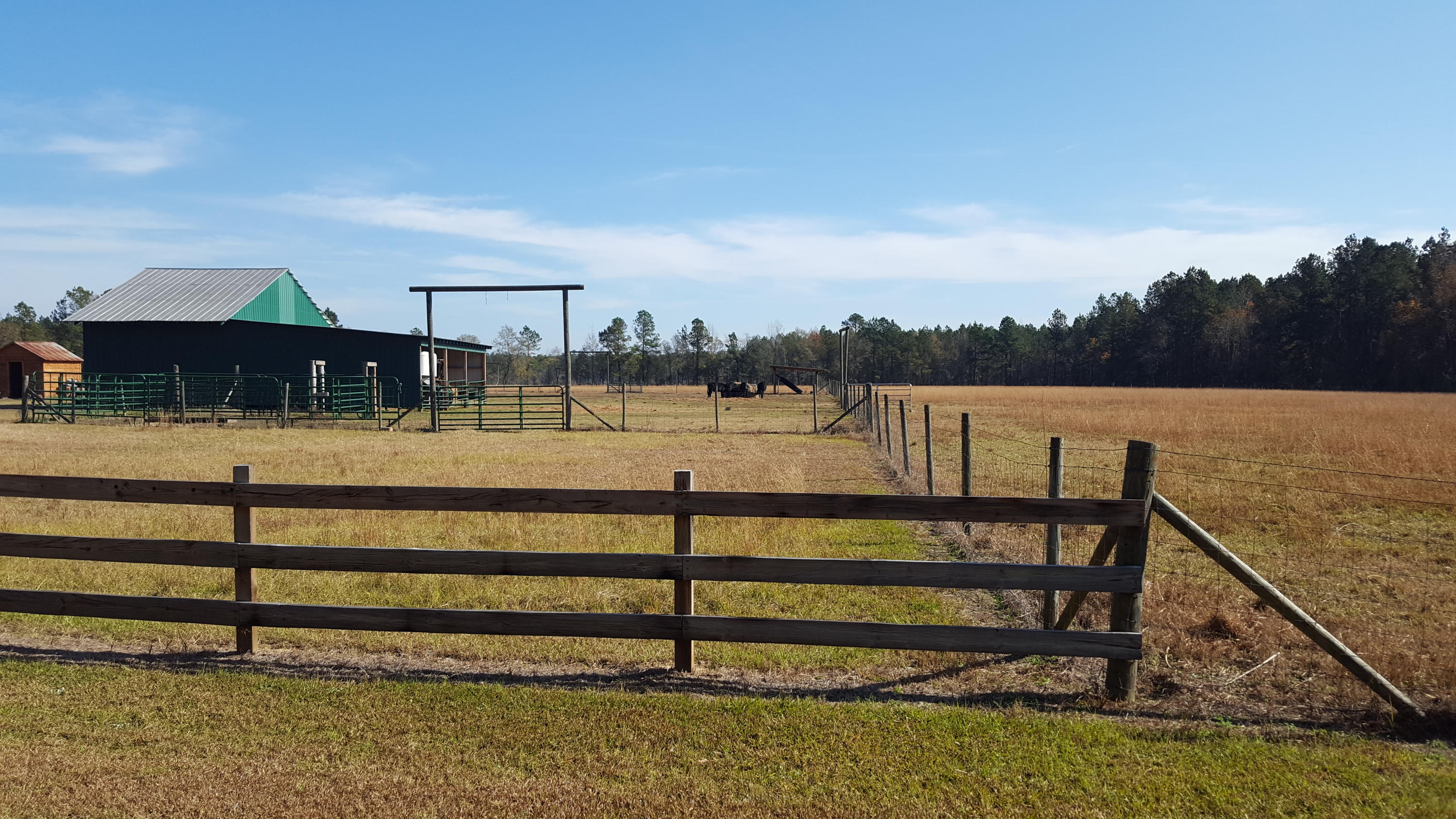 468 Strickland Farm Road Smoaks, SC 29481 - Photo 36 of 71 301