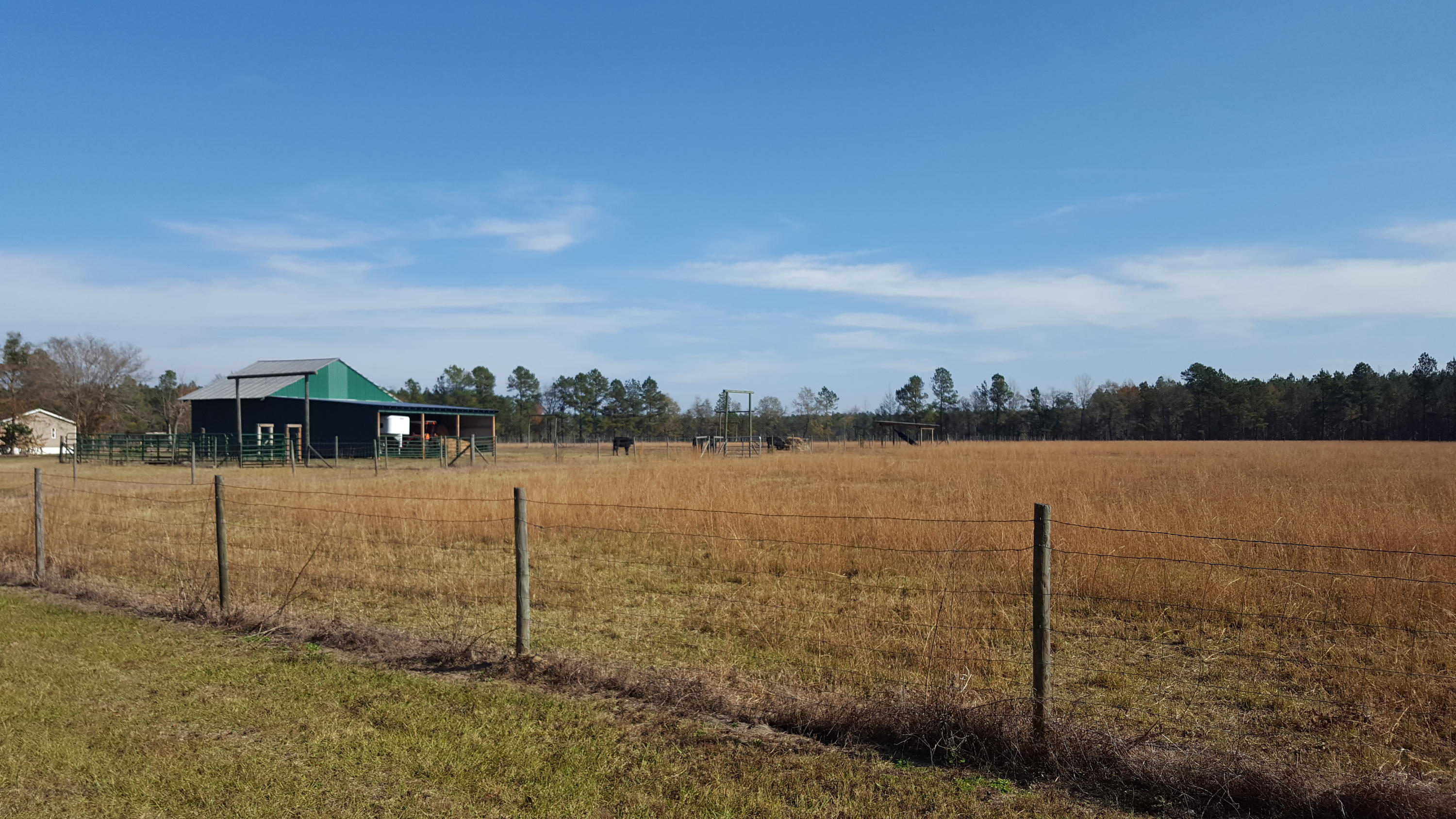 468 Strickland Farm Road Smoaks, SC 29481 - Photo 39 of 71 288