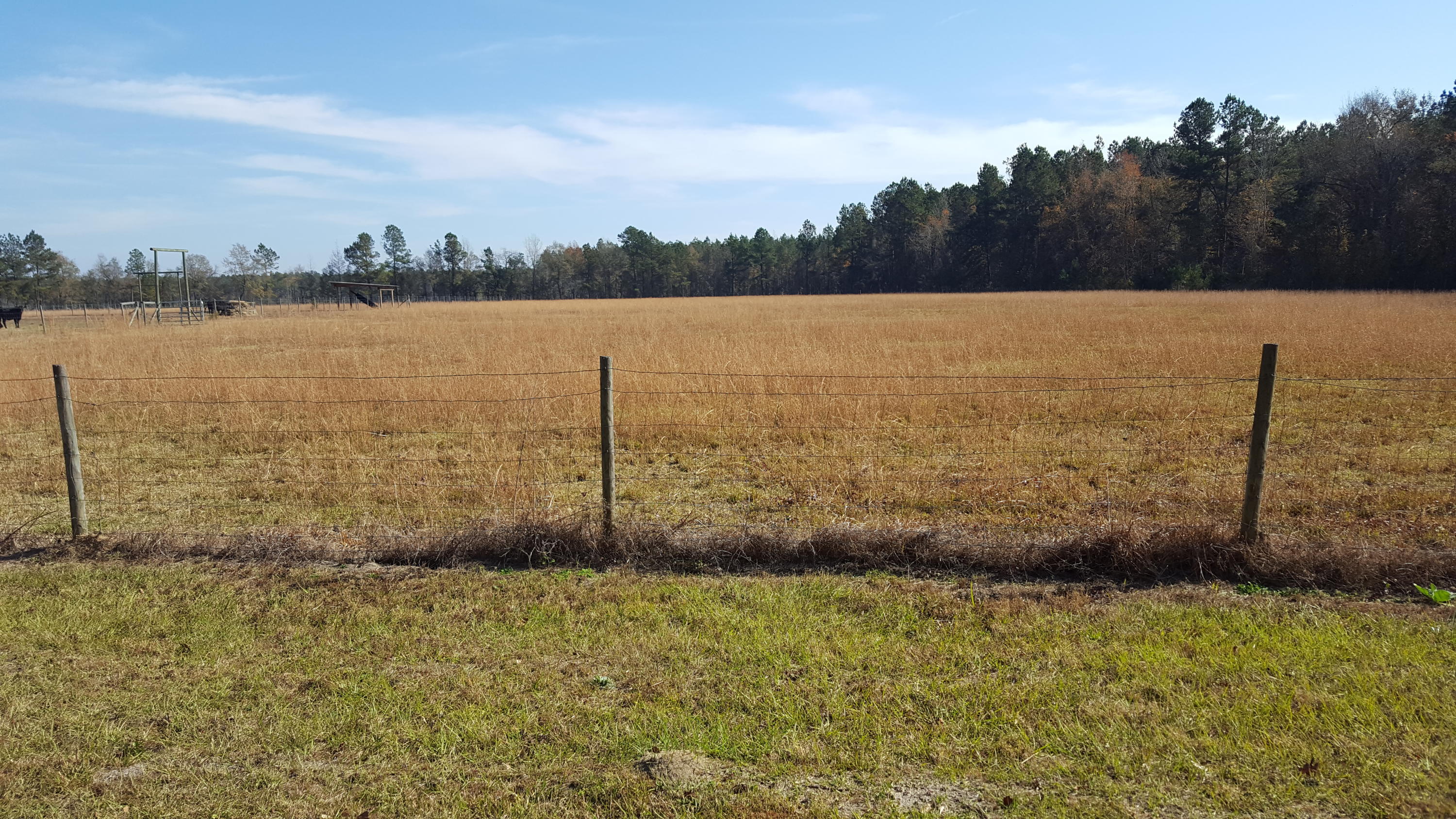 468 Strickland Farm Road Smoaks, SC 29481 - Photo 41 of 71 282
