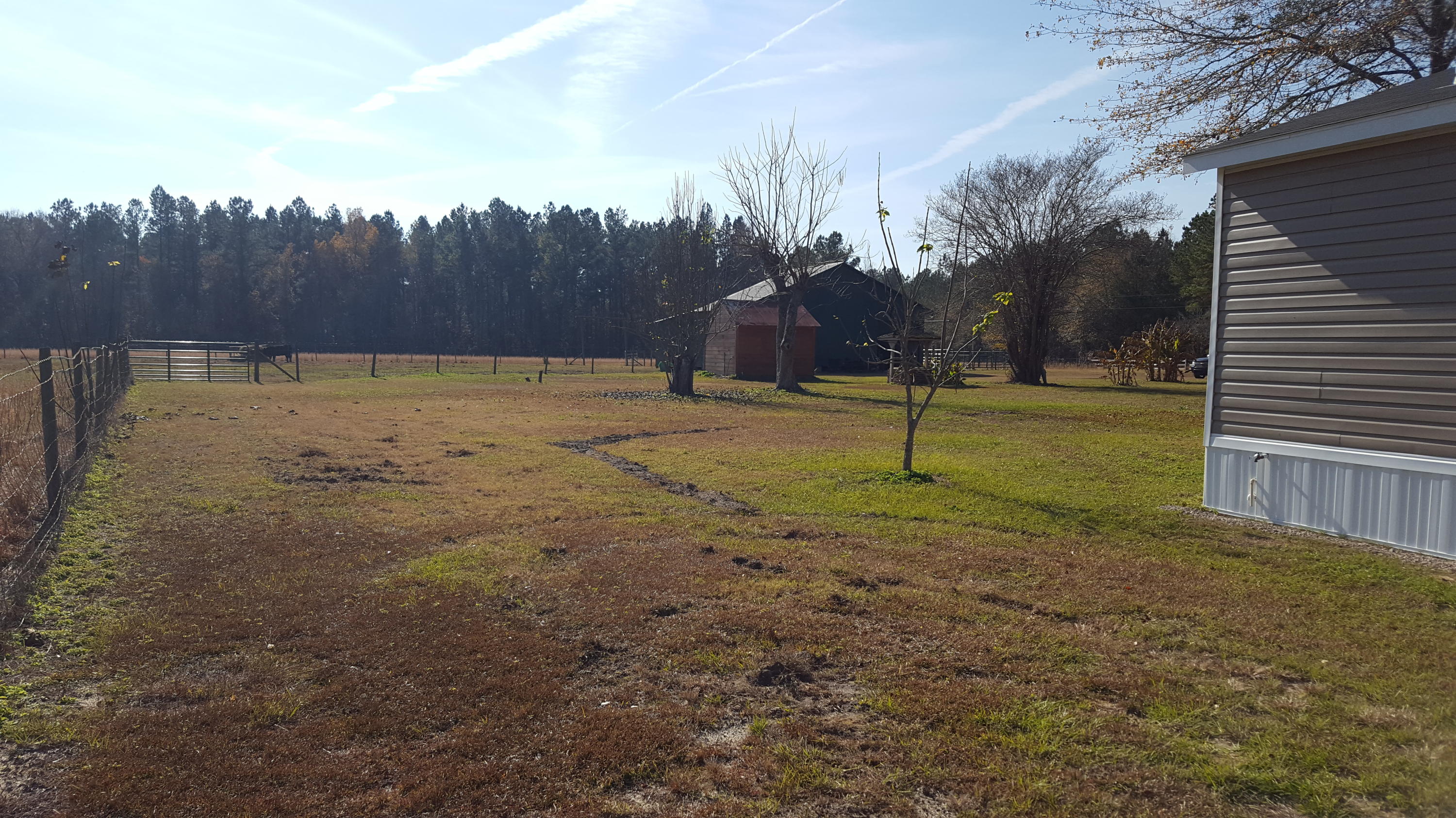 468 Strickland Farm Road Smoaks, SC 29481 - Photo 49 of 71 354