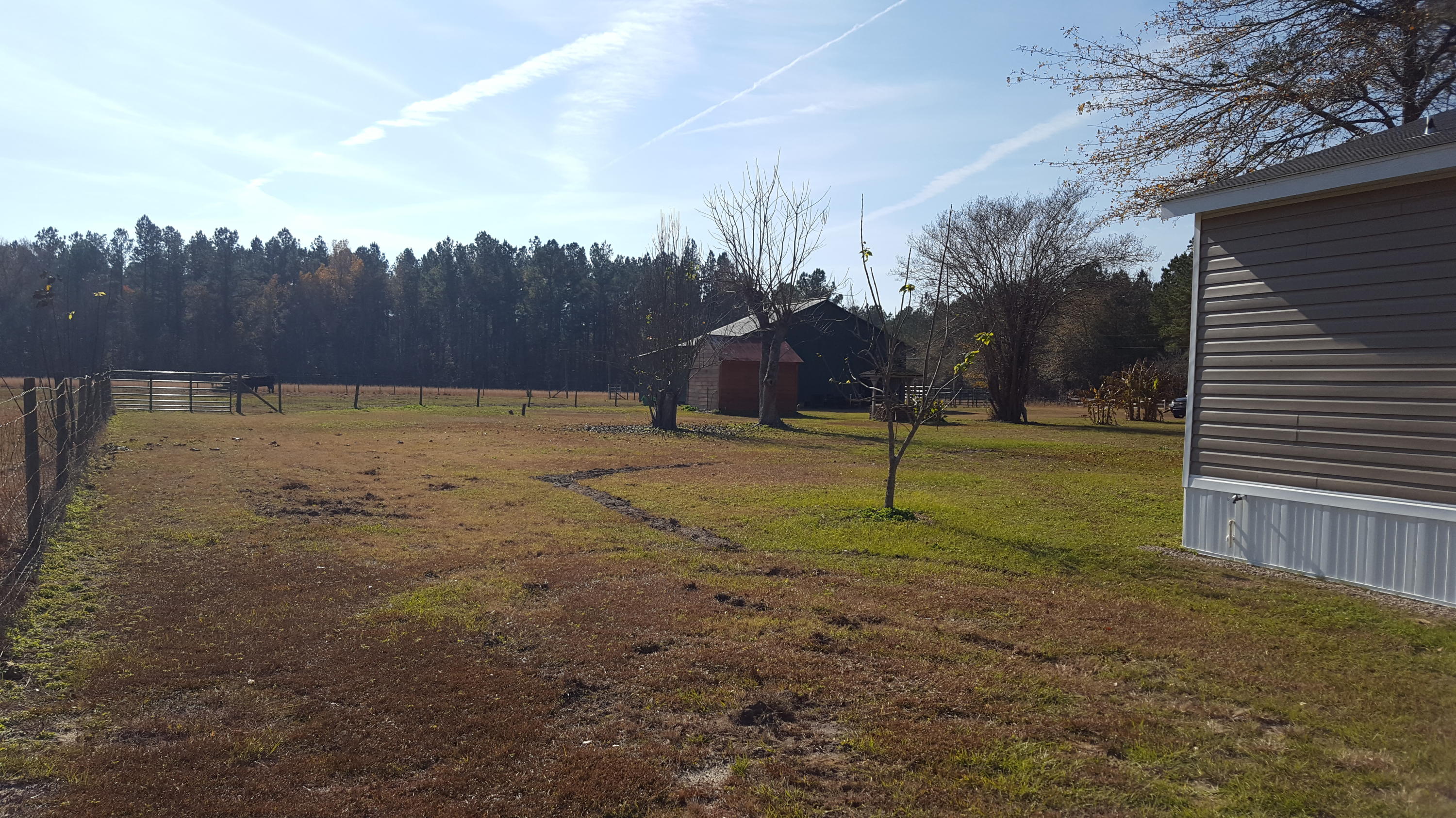 468 Strickland Farm Road Smoaks, SC 29481 - Photo 50 of 71 353
