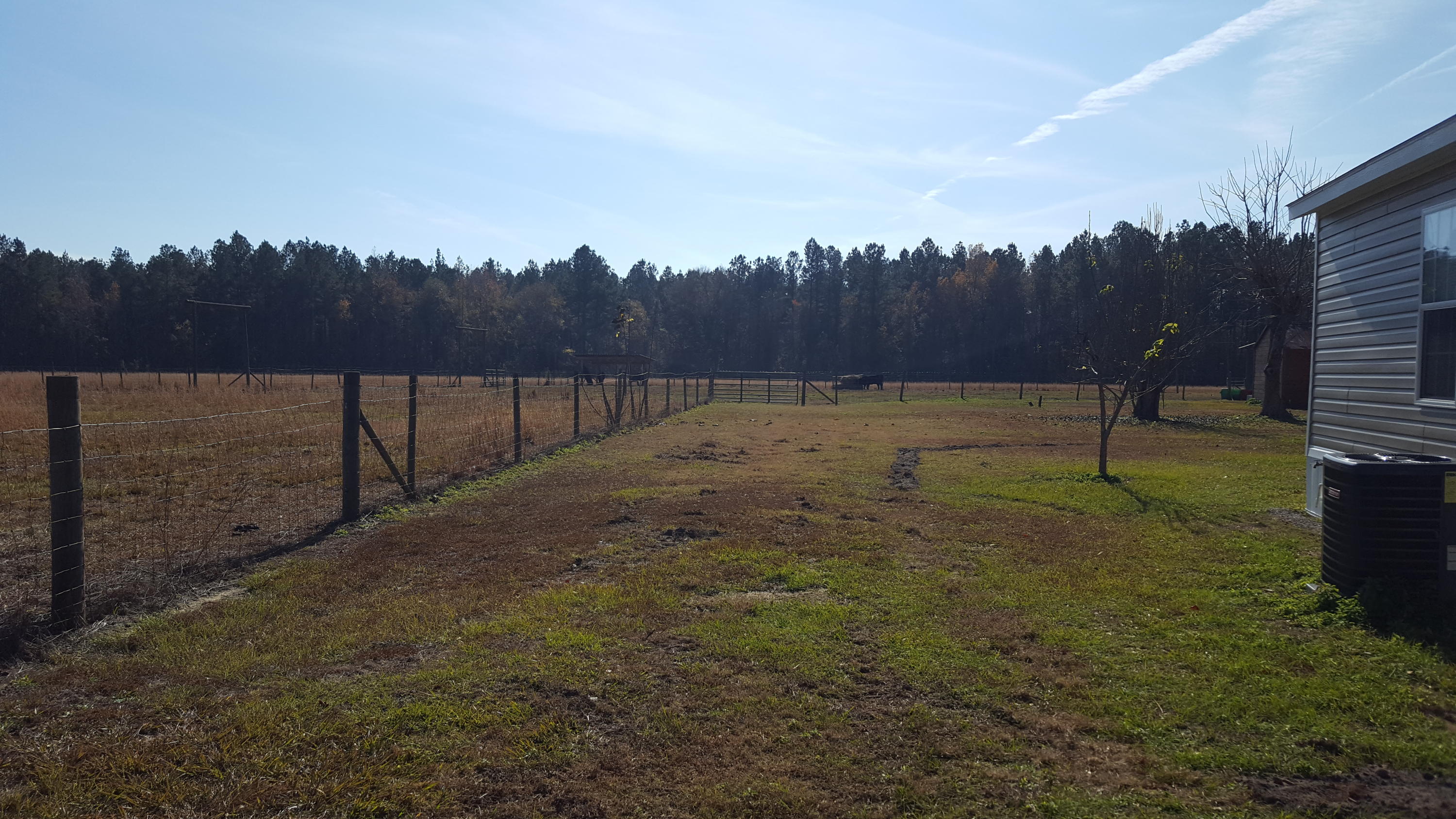 468 Strickland Farm Road Smoaks, SC 29481 - Photo 51 of 71 352